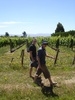 A weekend in Martinborough to try the fine wine and weather with the Whanau