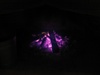 one of many fires, after the sun goes down, the chill comes in