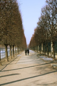 Long walks in the gardens by the Louvre Long walks in the gardens by the Louvre
