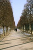 Long walks in the gardens by the Louvre