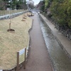 Walk along Kyoto's canal