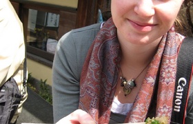 Our Spring Blossom Japan