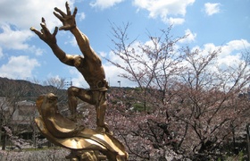 Our Spring Blossom Japan