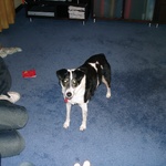 Lubi! Center of attention as always.