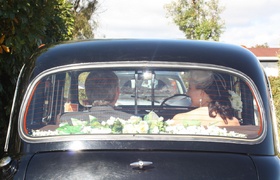 New Zealand Celebrations