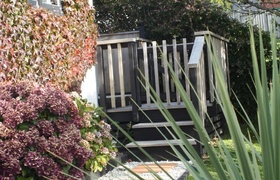 New Zealand Celebrations