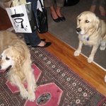 Bye bye Paddy and Jes.. ahh, I mean Myah!