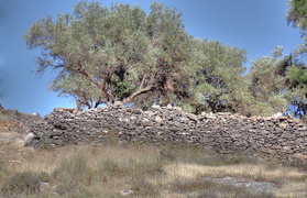 Big Fat Greek Lindos