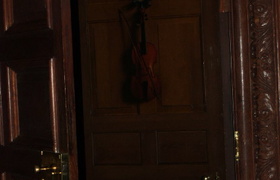 Busy Bees in Manchester