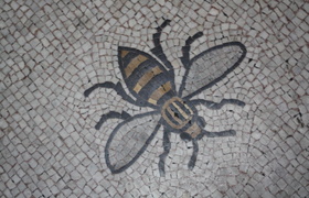 Busy Bees in Manchester