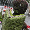 Bookworm made of plants