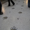 Lots of busy bees!
