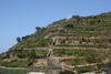 Vineyards stacked up the hillsides