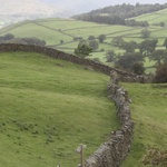 One of the many stone walls