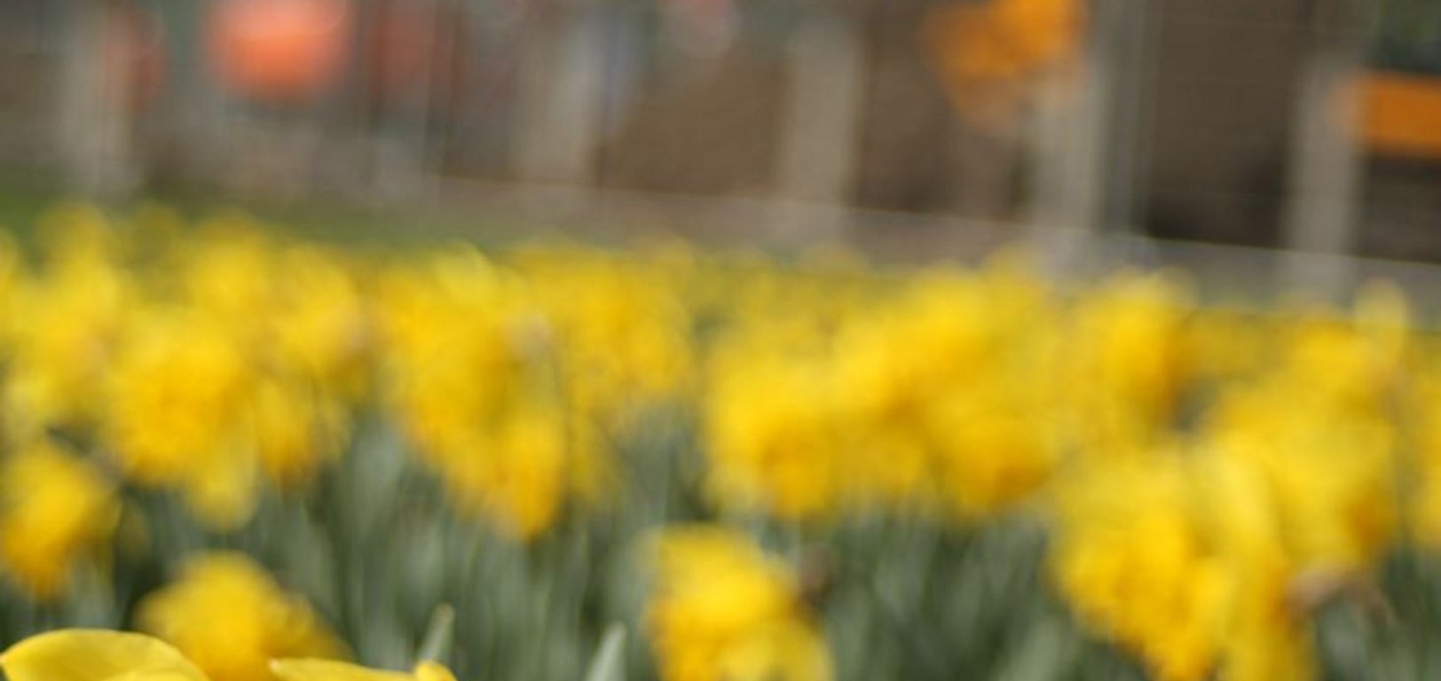 March :Spring is upon us!