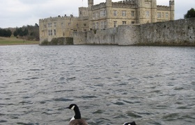 Folkstone on the sea