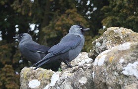 Folkstone on the sea