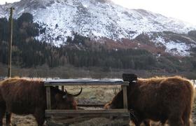 Bonnie Scotland, aye.