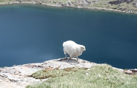 Snowdon - Top of Wales