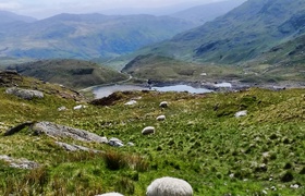 Snowdon - Top of Wales