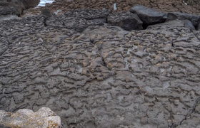 Green, Raw, Untamable Land of Ire