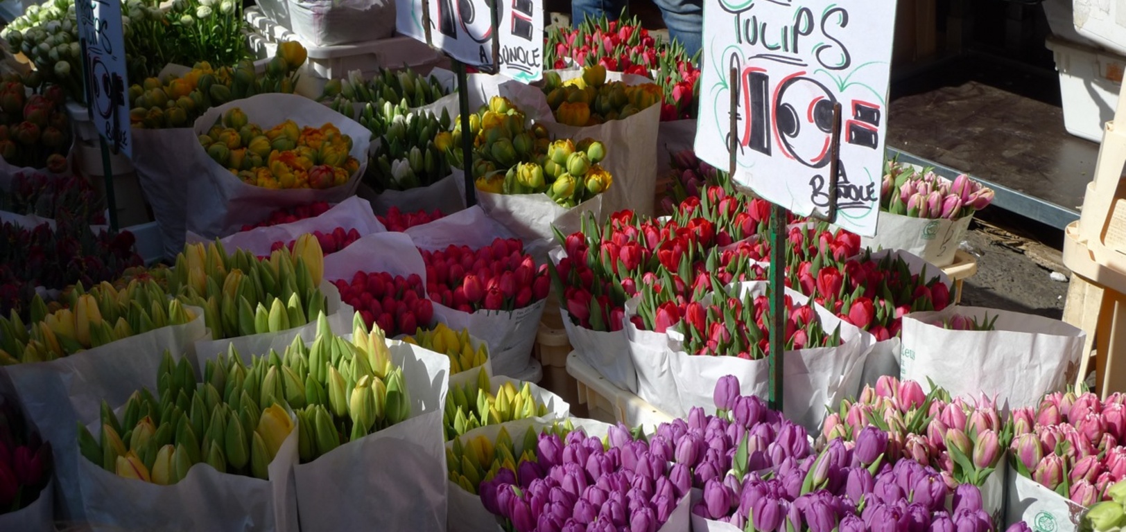 Flower markets, 2010