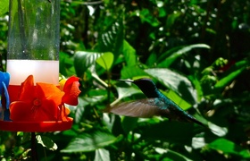 South America: Brazil