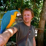 Tom get's to hold a parakeet 