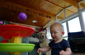 Two Christmases, 2010