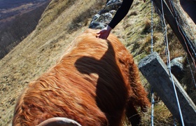 April - Journal Entries