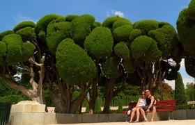 August - Journal Entries