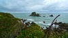 Pancake Rocks (Punakaiki) on the West Coast