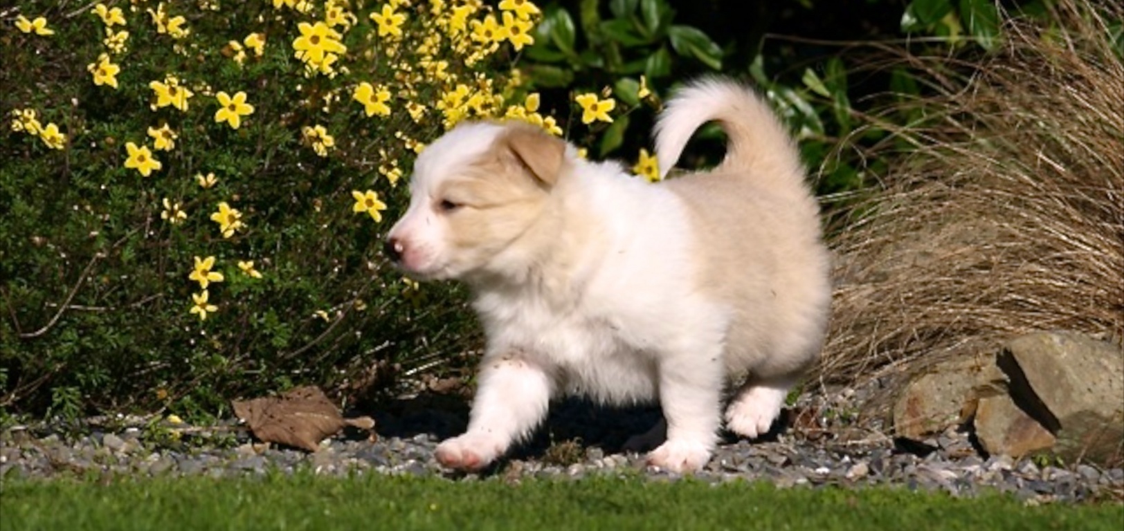 And venturing outside!