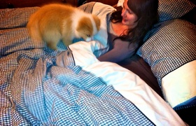 A Month of Lyon in Karori