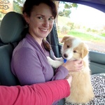 Lyon comes home! 8 weeks old.