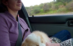 A Month of Lyon in Karori