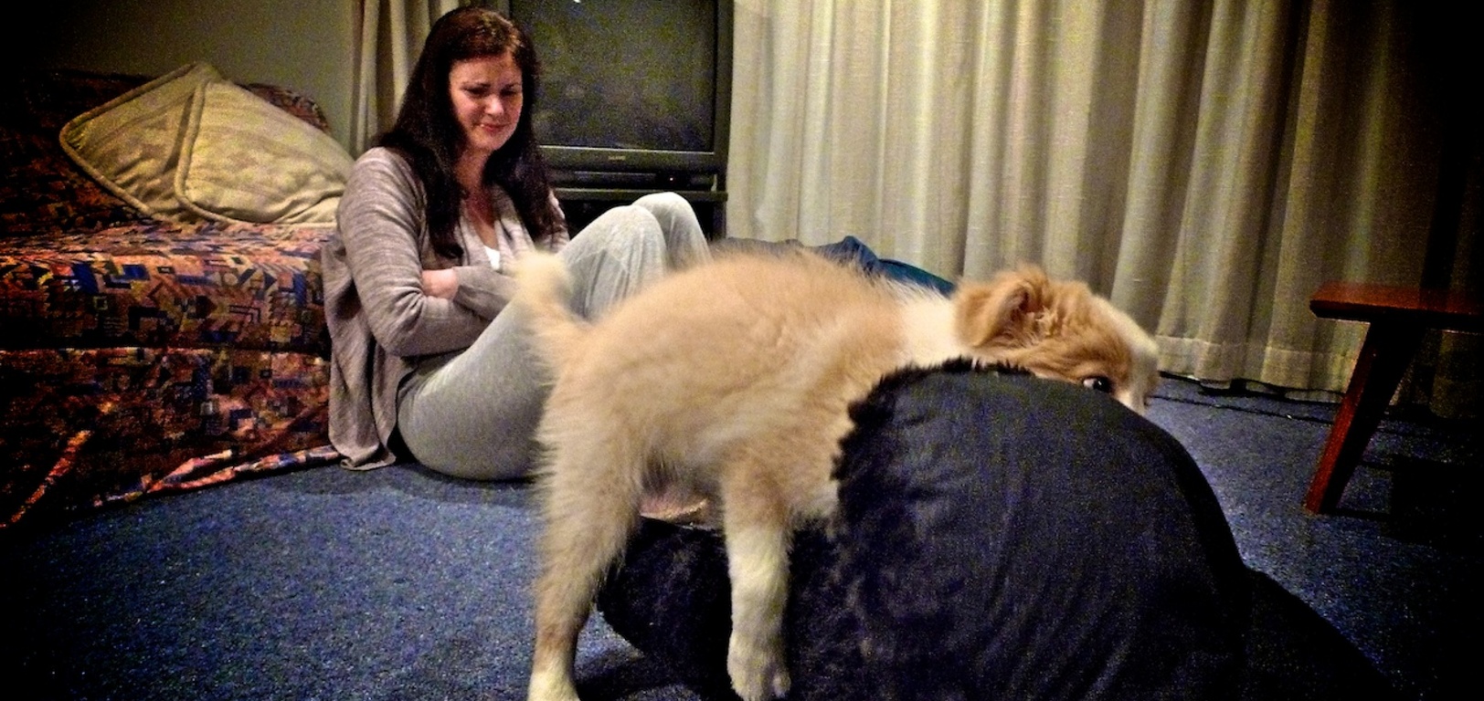 Humping his bed, 11 weeks old