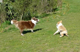 August - Journal Entries