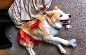 December - Journal Entries