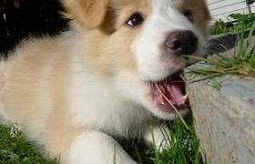 July - Journal Entries