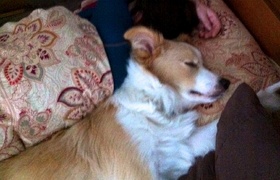 November - Journal Entries