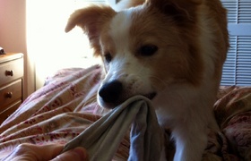 November - Journal Entries