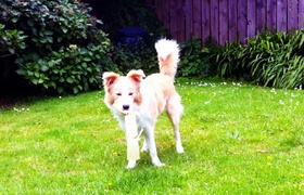 November - Journal Entries