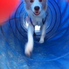 Lyon shows his skills at tunnelling, we are so proud!