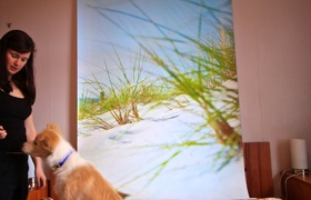 September - Journal Entries