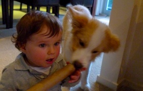 September - Journal Entries