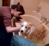 Lyon gets his first bath!