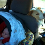 Lyon checks that the girls are doing ok.