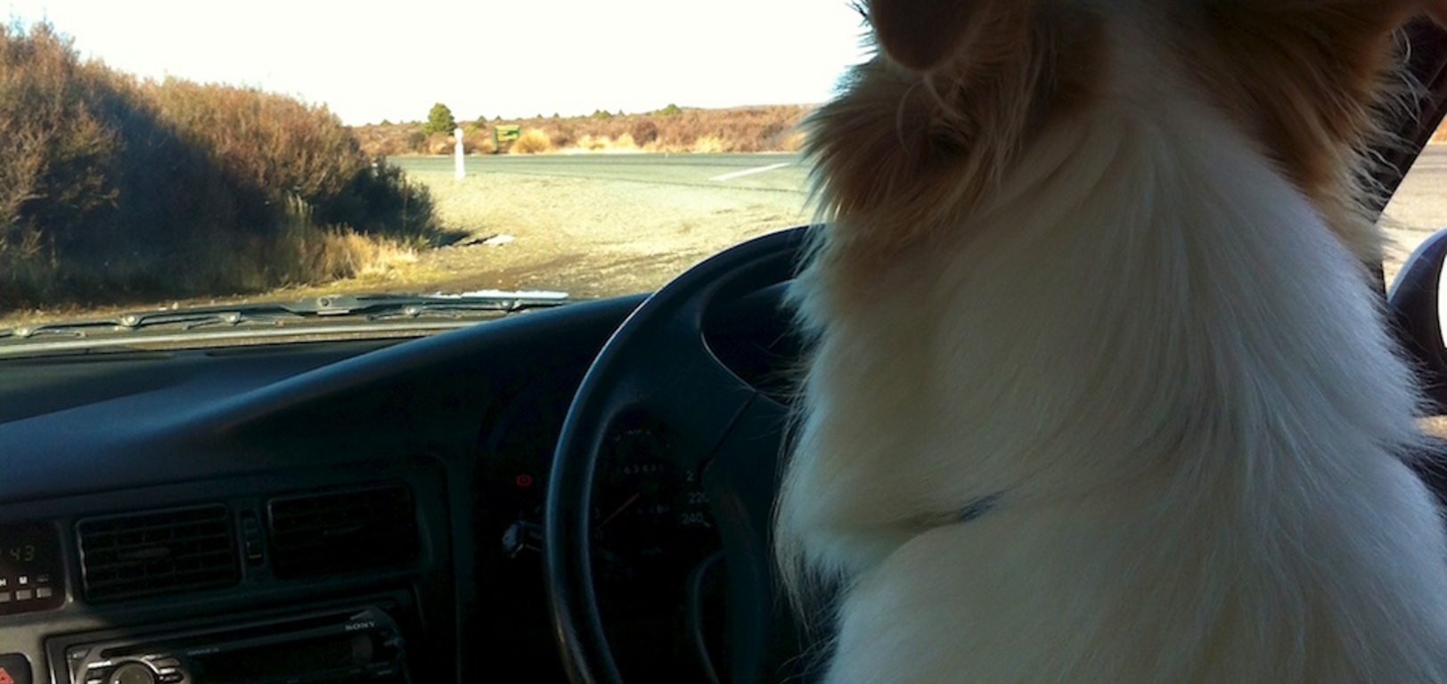Lyon takes the wheel while Tom takes a quick pitstop on the desert road
