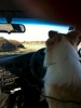 Lyon takes the wheel while Tom takes a quick pitstop on the desert road